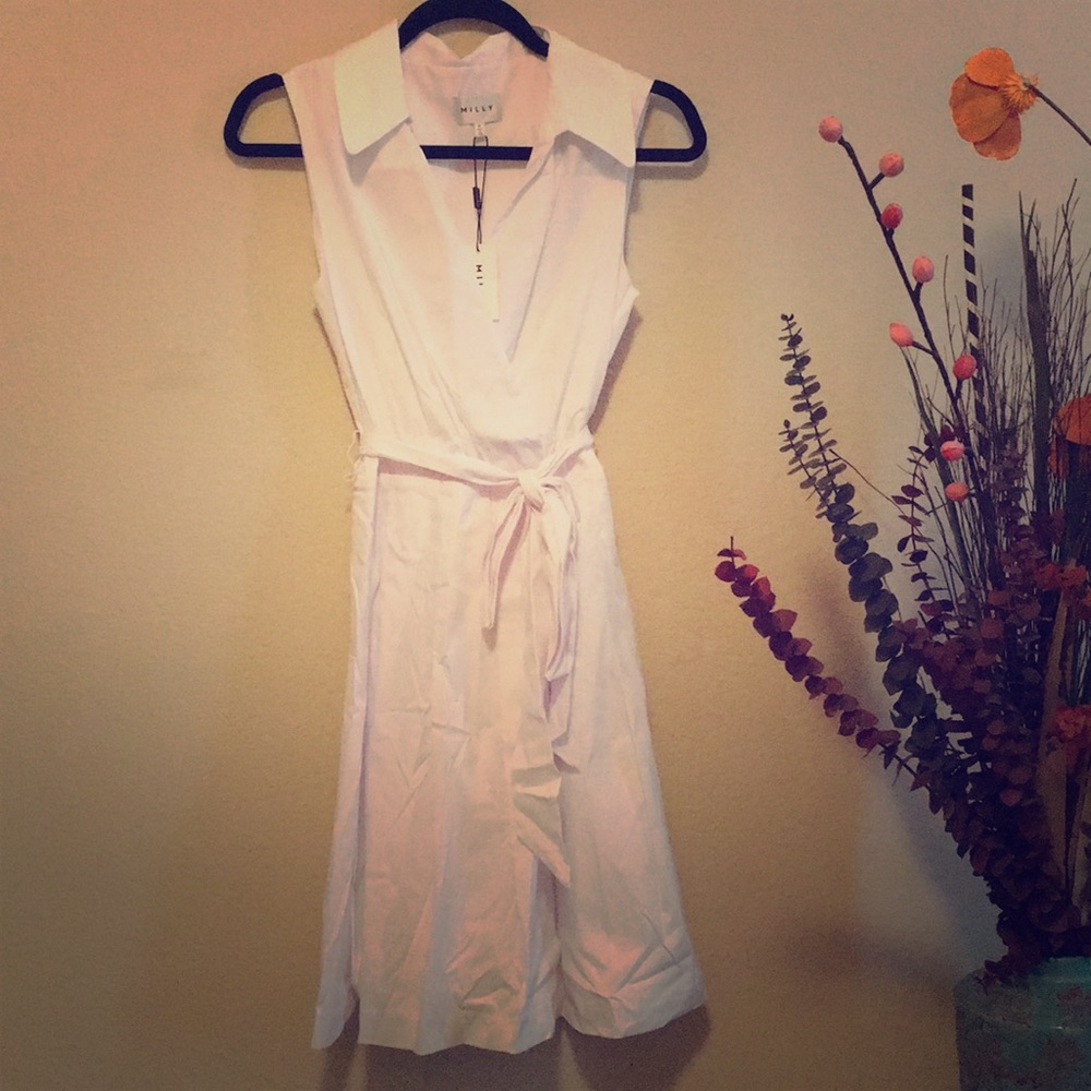 Milly Dress